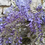Les Racines De Lili Дом отдыха Cieurac