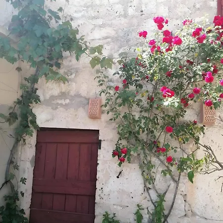 Dom wakacyjny Les Racines De Lili Cieurac