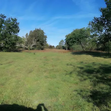 Les Racines De Lili Σπίτι διακοπών *