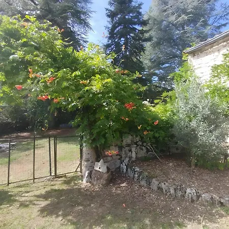 Dom wakacyjny Les Racines De Lili