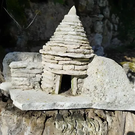 Les Racines De Lili