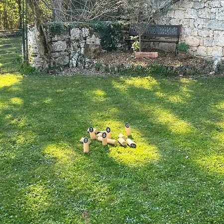 Les Racines De Lili Cieurac