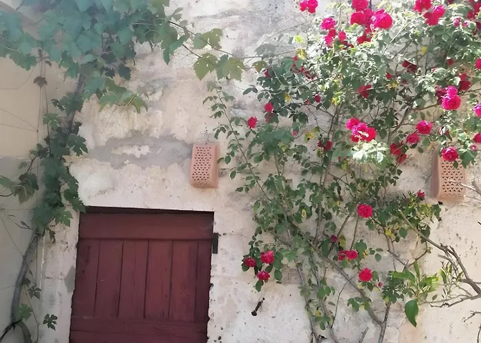 Σπίτι διακοπών Les Racines De Lili Cieurac