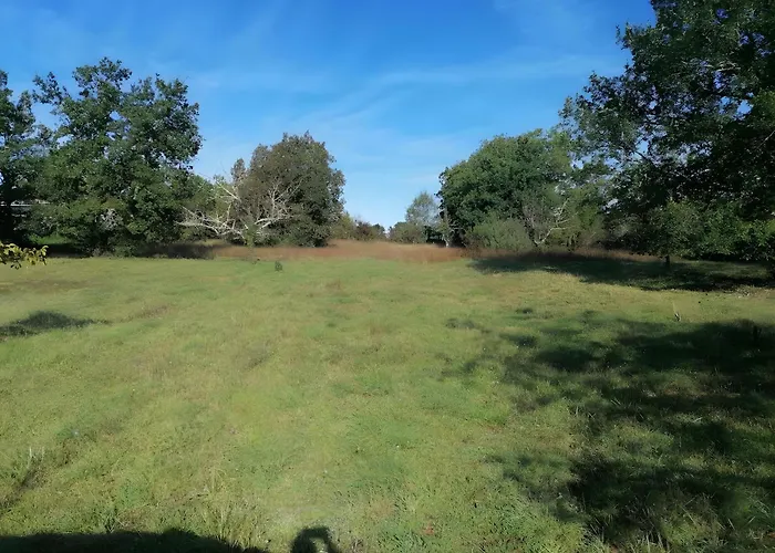 Les Racines De Lili Σπίτι διακοπών *